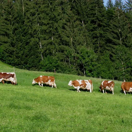 Stabentheiner-hof Gospodarstwo agroturystyczne *