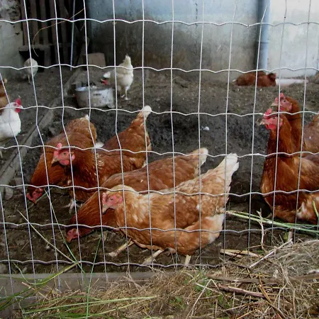 Gospodarstwo agroturystyczne Stabentheiner-hof