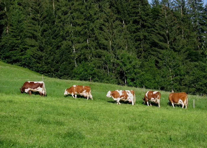 Stabentheiner-hof Farma *