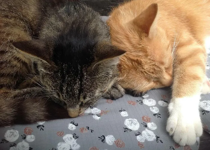 Farma Stabentheiner-hof