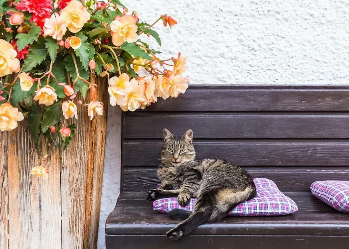 Stabentheiner-hof Farma Liesing