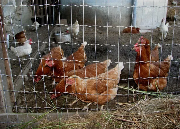 Agroturismo Stabentheiner-hof